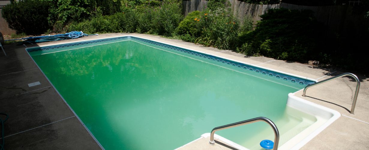 Why Does Algae Grow in a Pool