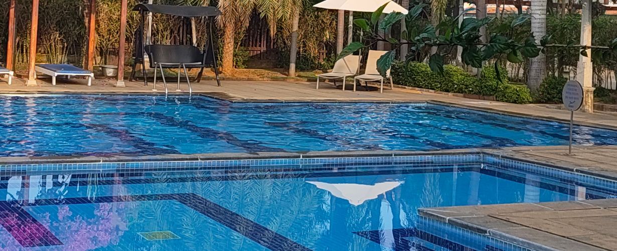 Why Pests Keep Coming Back to Your Pool